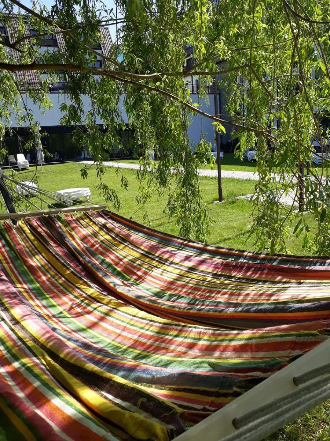 Hotel Wolf 2 Bran  Extérieur photo